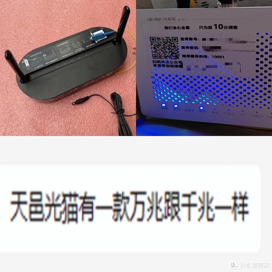 他们彼此不相像!