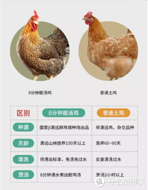 吃出幸福感 居家也不能太委屈自己 那些值得囤货的好物推荐