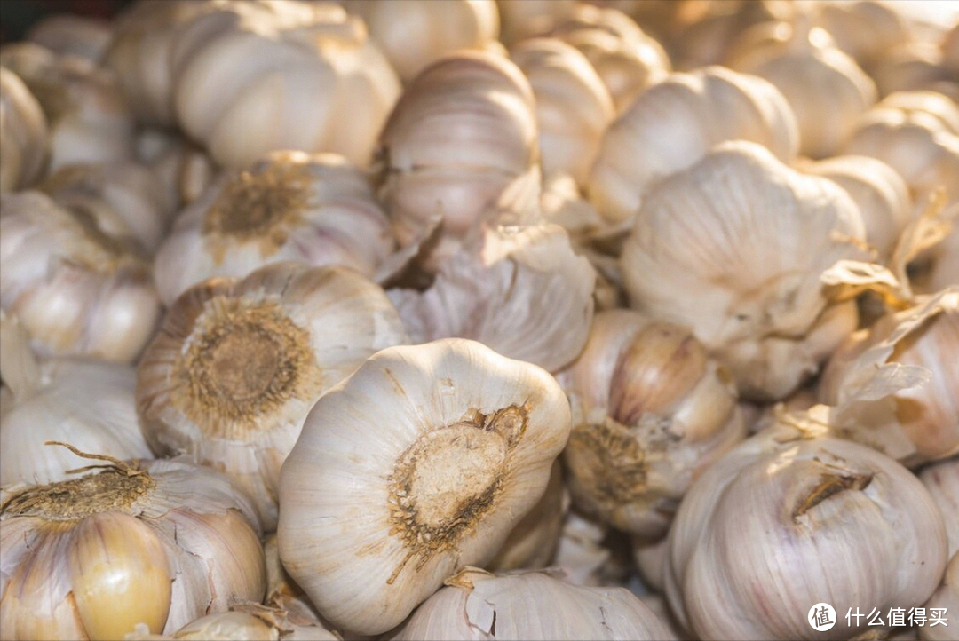 为啥大蒜在超市里不发芽,买回家放几天就长芽了?今天告诉你答案