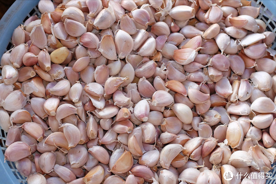 为啥大蒜在超市里不发芽,买回家放几天就长芽了?今天告诉你答案