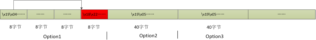 Windows TCP/IP远程执行代码错误分析