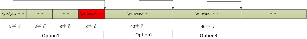 Windows TCP/IP远程执行代码错误分析