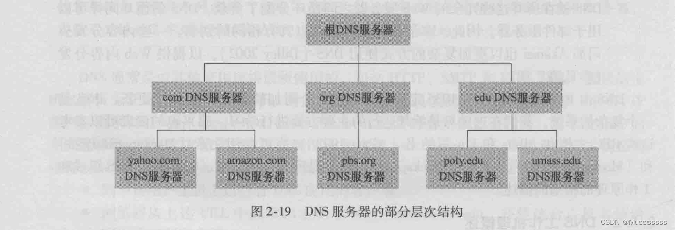 DNS服务器