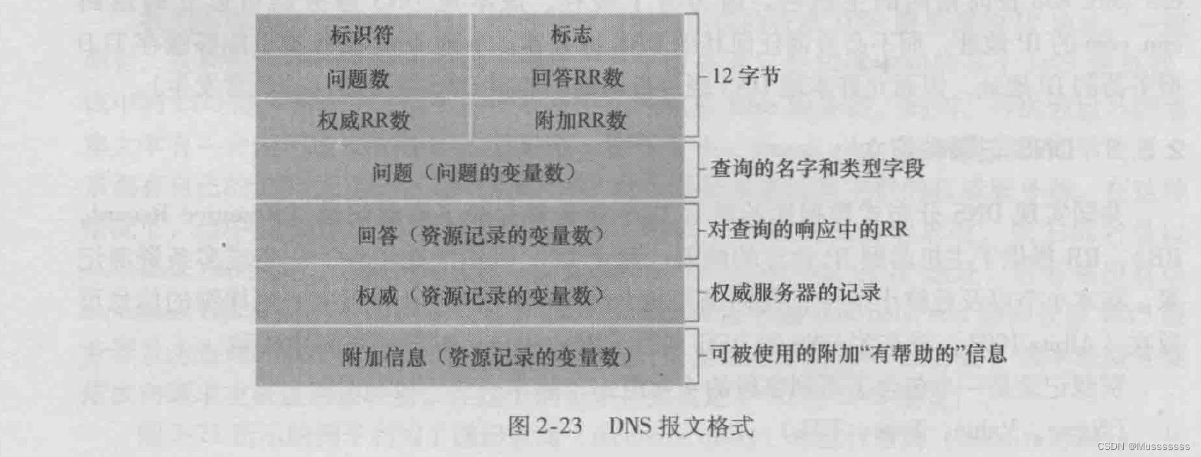 DNS报文格式