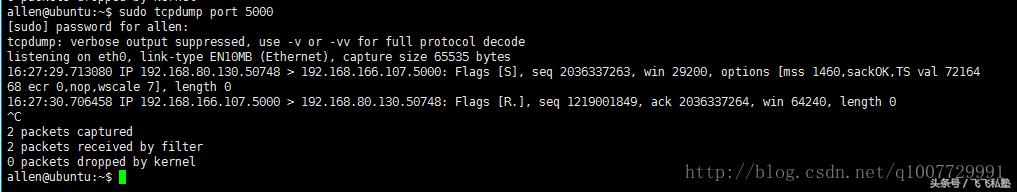 TCP 协议(异常连接)