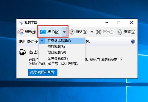戴尔电脑win10截图
