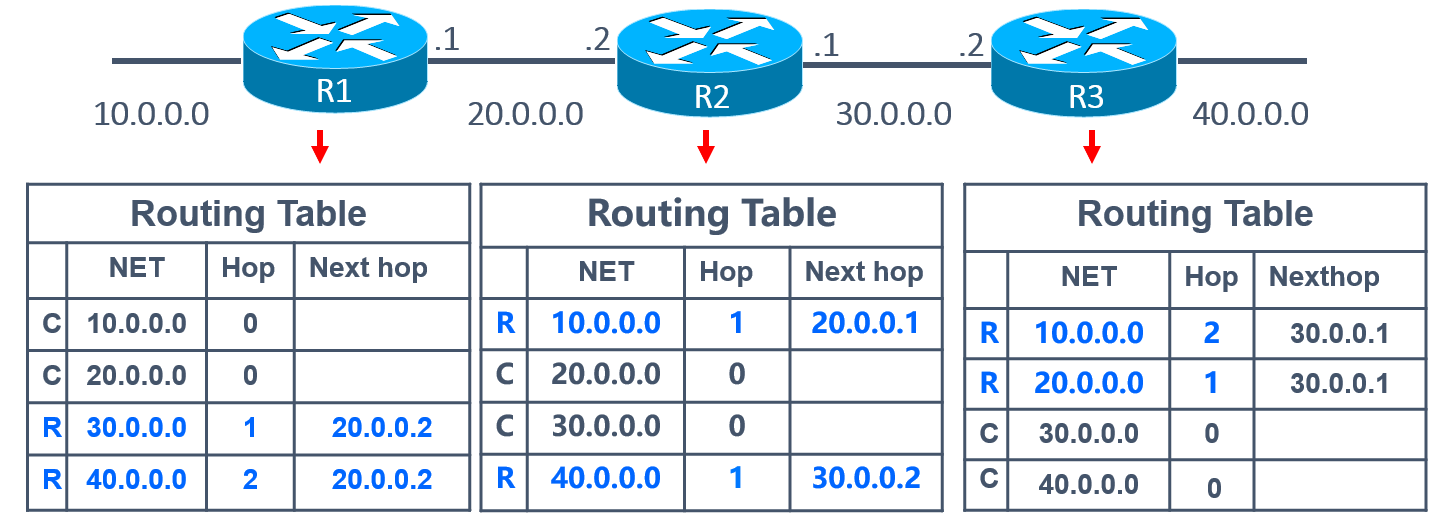 image-20211113195451382