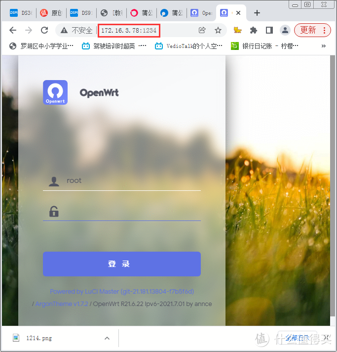 [首创]群晖+Socat+蒲公英内网穿透替代哲西云组网