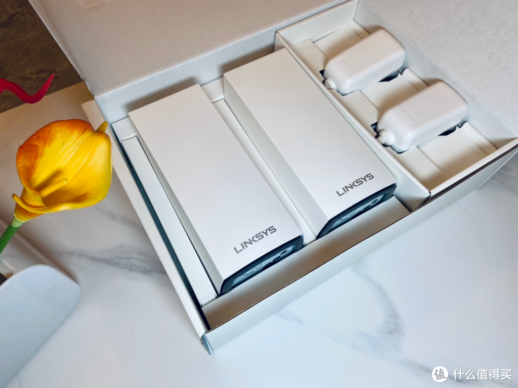 家庭网线布局及领势路由MX5502 Mesh组网设置