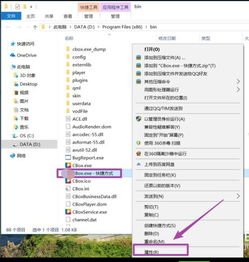 win10浏览器菜单在哪里设置快捷键