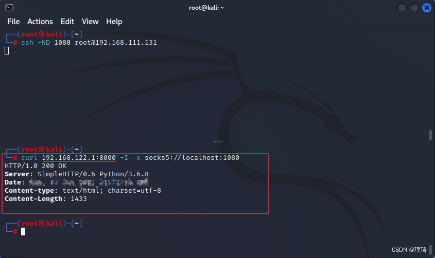 kali-socks-centos-python