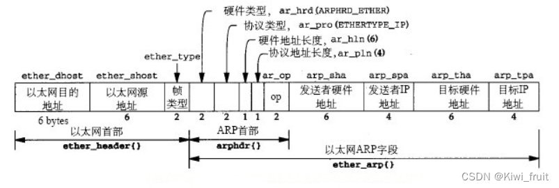 ARP报文