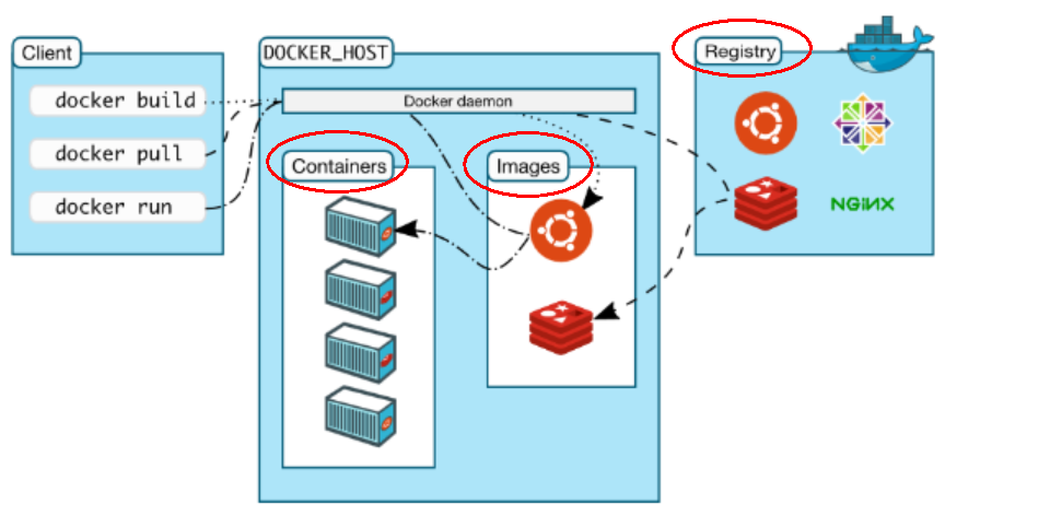 image-20220726114535279