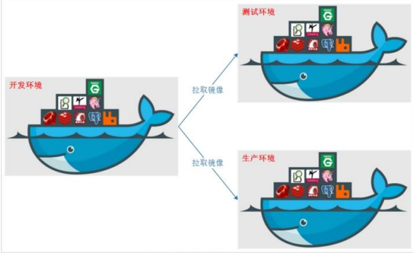 image-20220726105904601