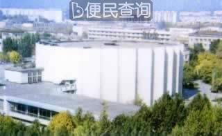 我国与乌兹别克斯坦建立外交关系