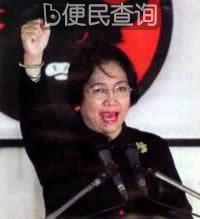 印尼副总统梅加瓦蒂诞辰