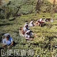 我国与斯里兰卡建立外交关系