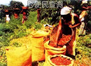 我国与科特迪瓦建立外交关系