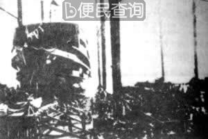 我国自制巨型客轮下水