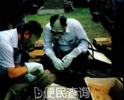 禁止化学武器公约生效