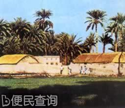 我国与巴基斯坦建立外交关系