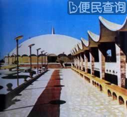 我国与巴基斯坦建立外交关系