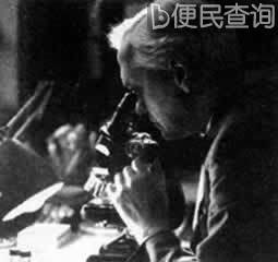 弗莱明发明青霉素