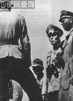 非洲战役失利,隆美尔回国