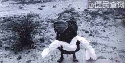 意大利维和部队在索马里丑行暴露