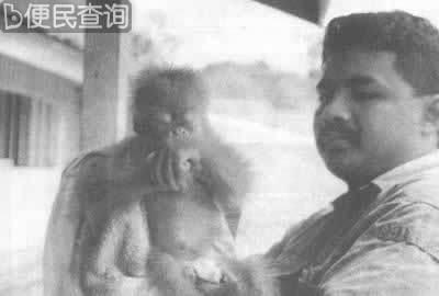 印尼发生森林大火