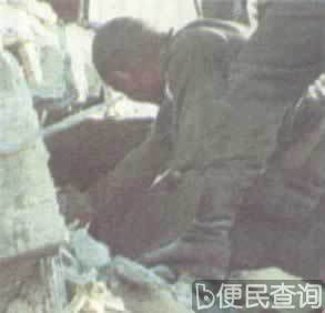 216名美军官兵在贝鲁特爆炸事件中死亡