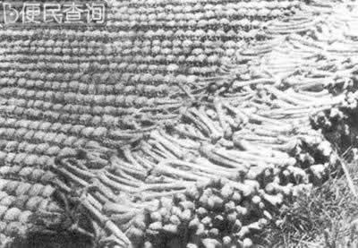 日军攻陷衡阳,在衡阳烧杀淫掠