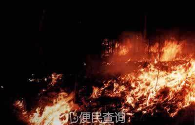 大兴安岭发生特大森林火灾