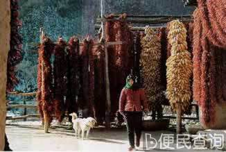 故事片《秋菊打官司》在北京首映