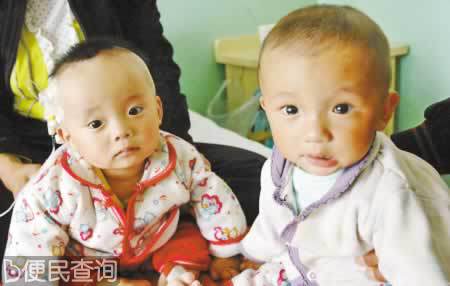 三鹿奶粉事件爆发