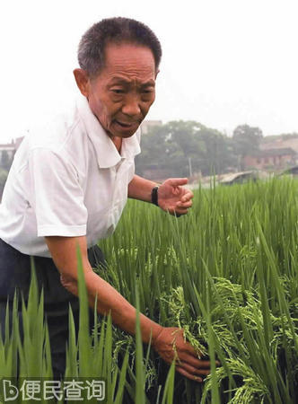 “杂交水稻之父”袁隆平出生
