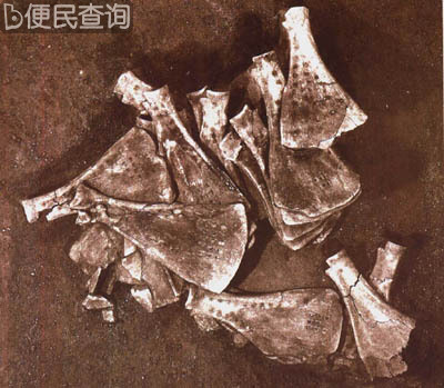 安阳殷墟开始发掘