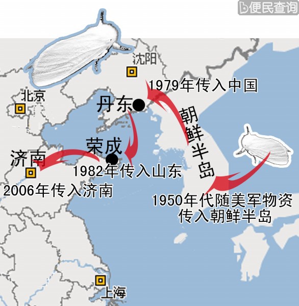 点击浏览下一张