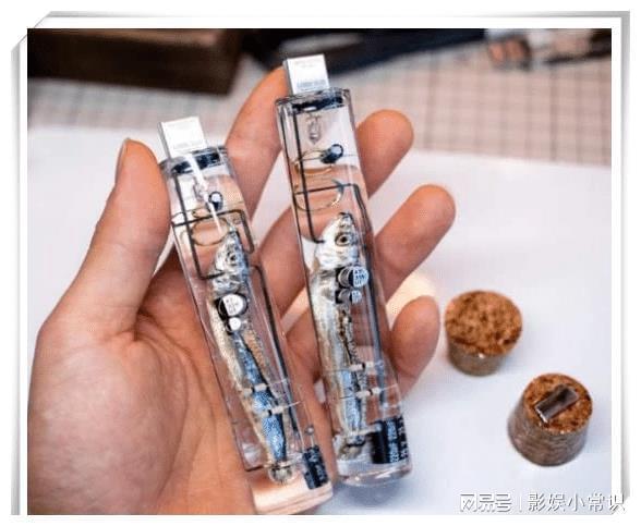 日本人发明鱼脑u盘称存储量达32g中国网友看到却笑了