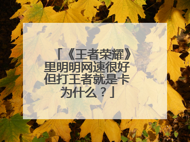 《王者荣耀》里明明网速很好但打王者就是卡为什么?
