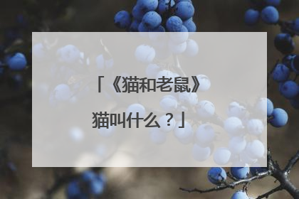 《猫和老鼠》猫叫什么？