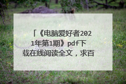 《电脑爱好者2021年第1期》pdf下载在线阅读全文,求百度网盘云资源