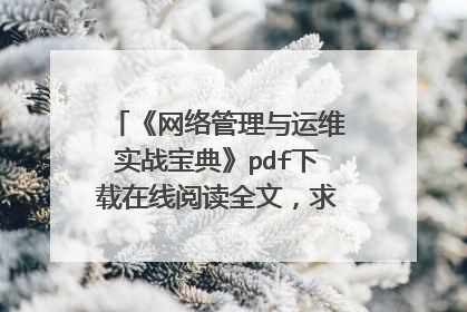 《网络管理与运维实战宝典》pdf下载在线阅读全文，求百度网盘云资源