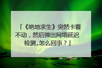 《绝地求生》突然卡着不动，然后弹出网络延迟检测,怎么回事？
