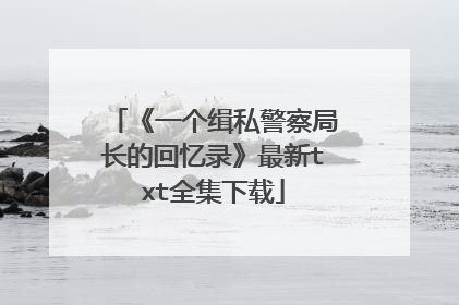 《一个缉私警察局长的回忆录》最新txt全集下载