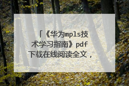 《华为mpls技术学习指南》pdf下载在线阅读全文，求百度网盘云资源