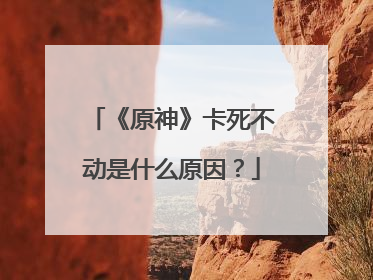 《原神》卡死不动是什么原因?