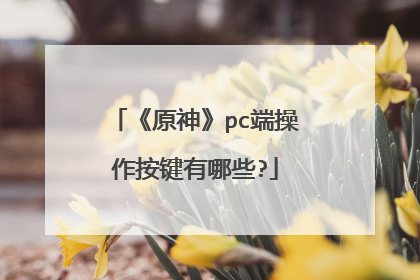 《原神》pc端操作按键有哪些?