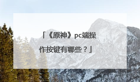 《原神》pc端操作按键有哪些?