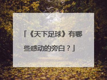 《天下足球》有哪些感动的旁白？
